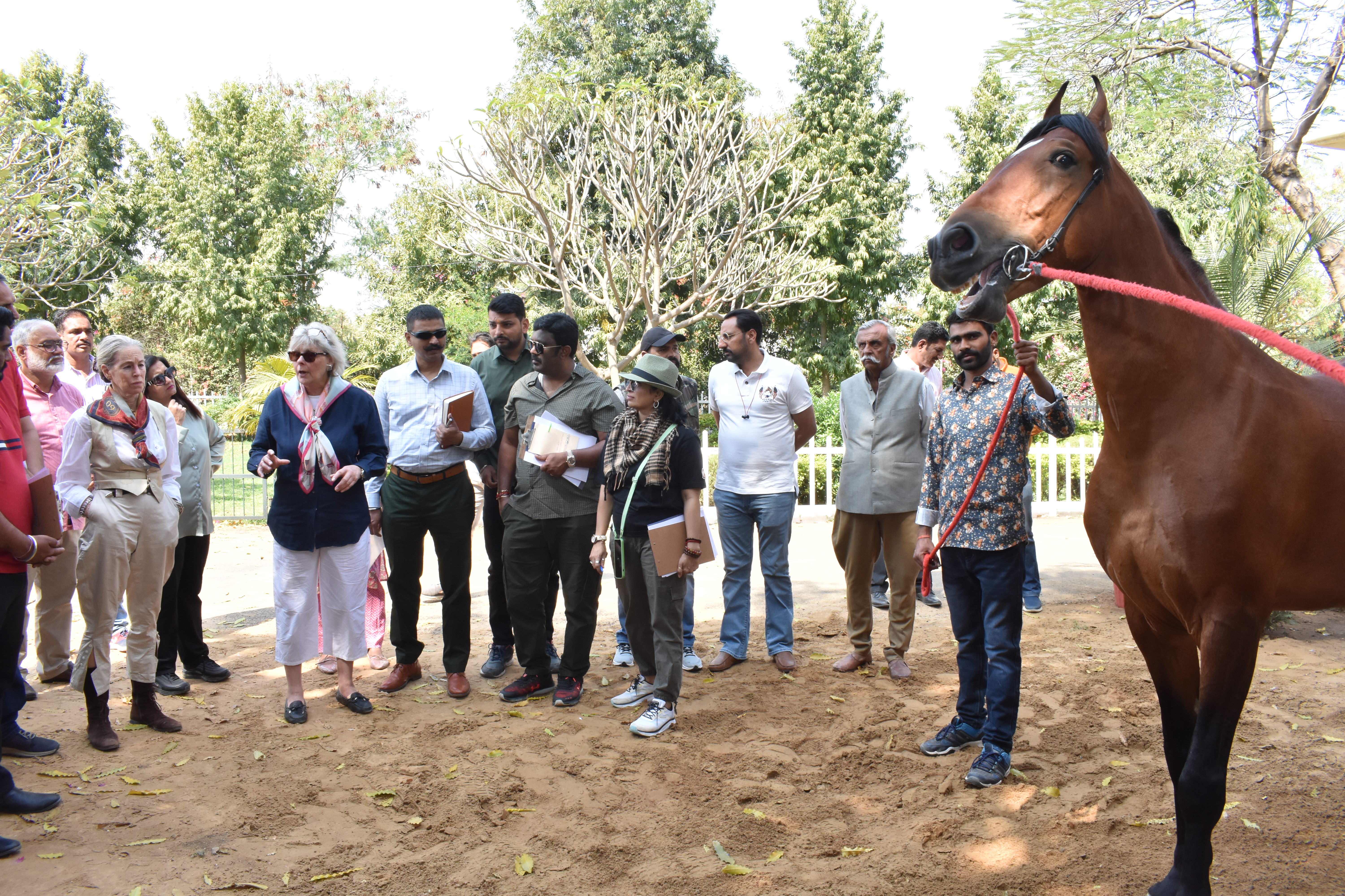 Presented by the Indigenous Horse Society of India